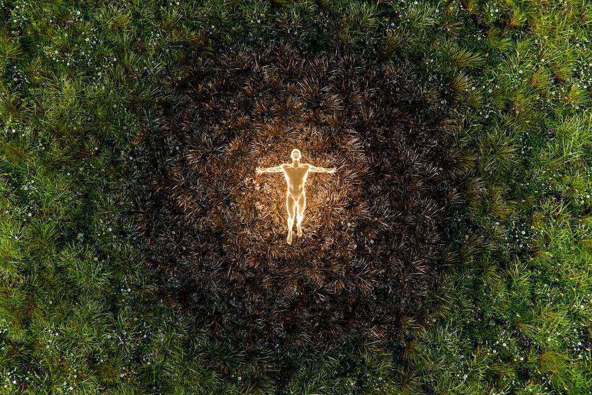 新岁，愿你如春草勃发