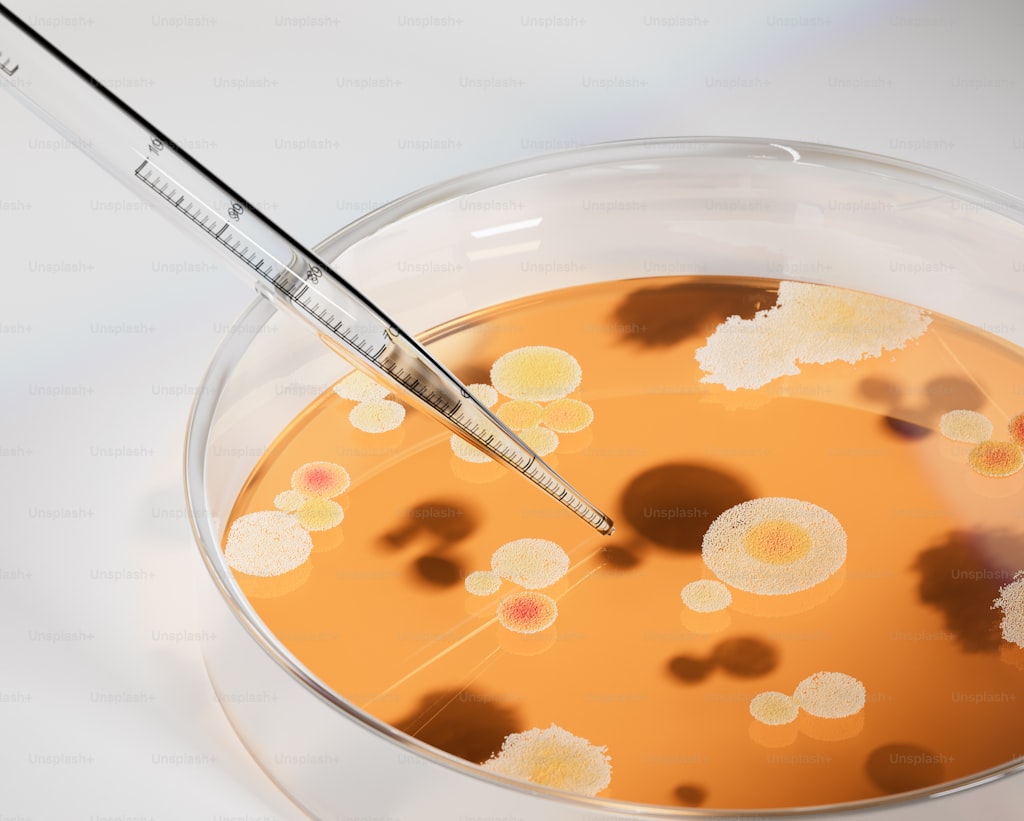 Typecho插件开发方案 Statistician（统计师）