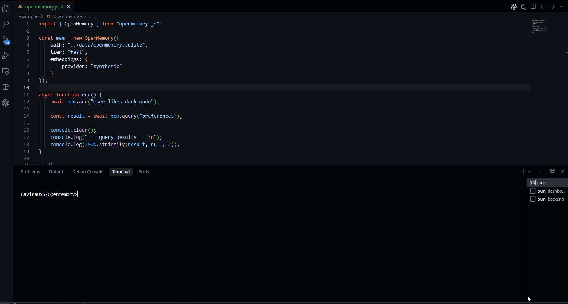 OpenMemory代码演示