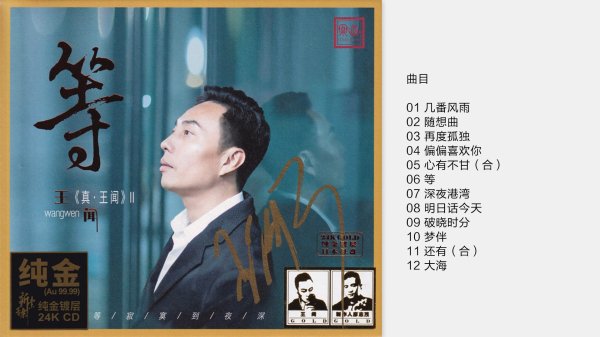 王闻 -《等》- 磁性嗓音等待岁月回声，一首经典一段深情